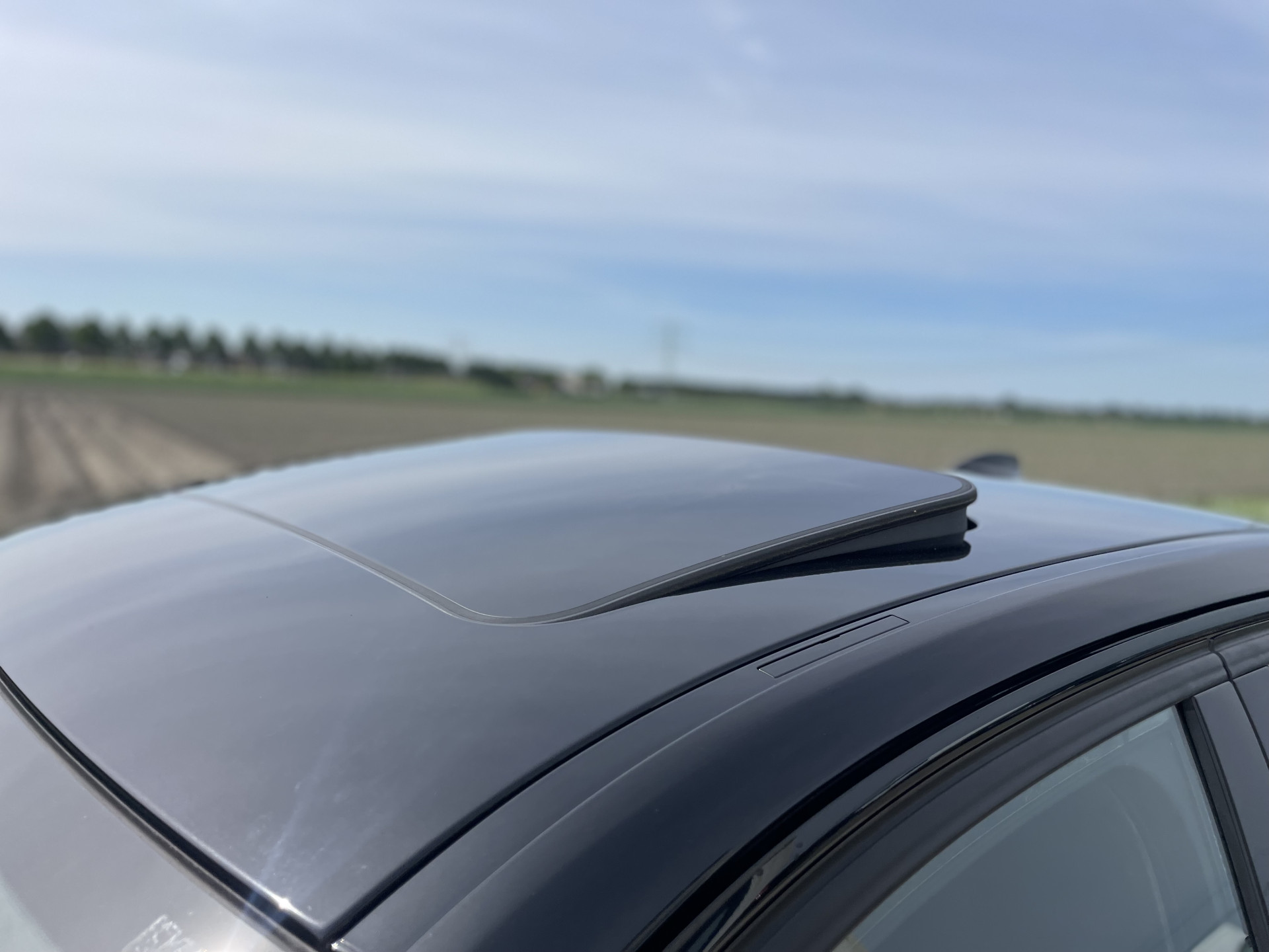 44963501-6.jpg