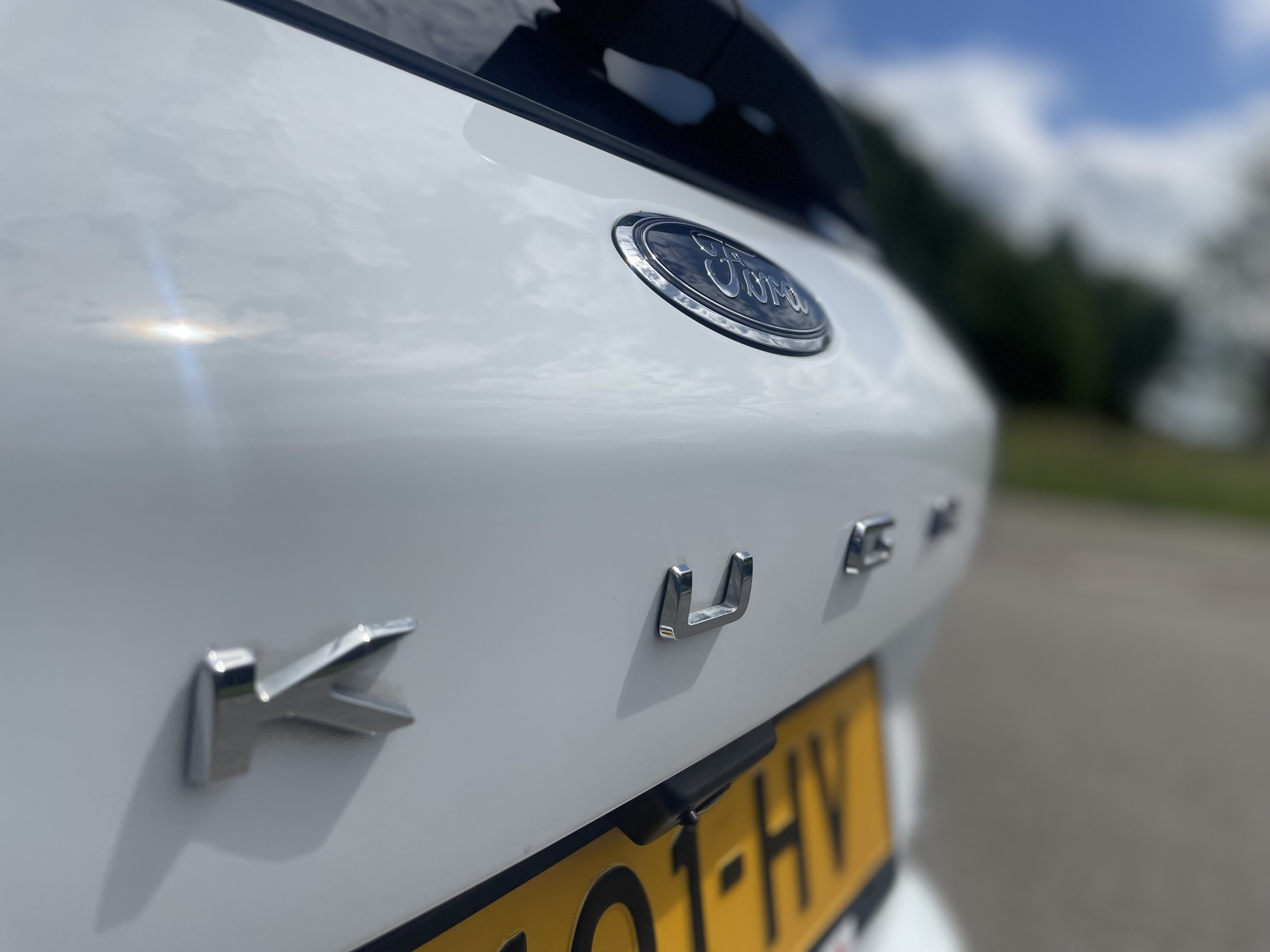 45135497-21.jpg