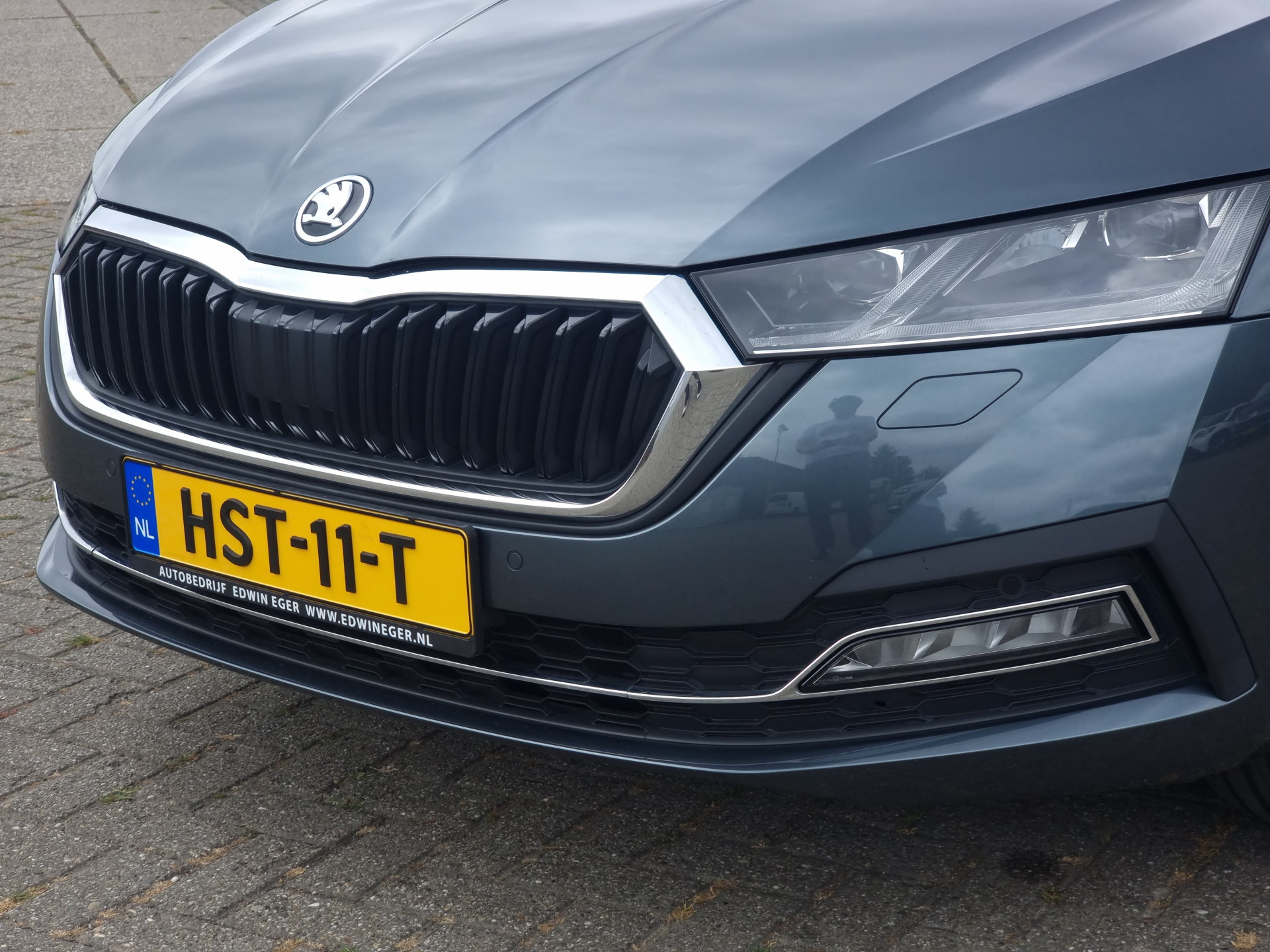 45292929-8.jpg