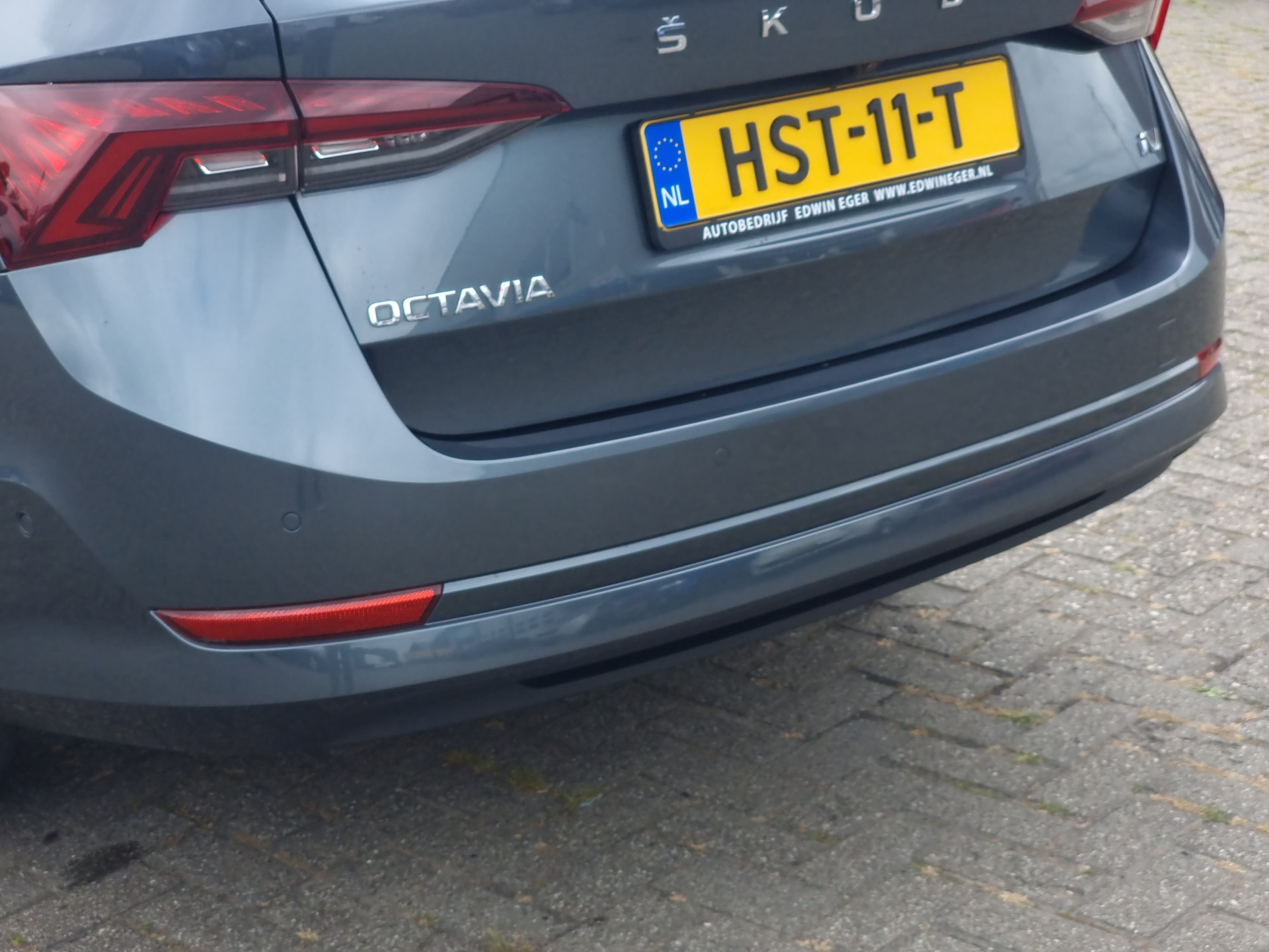 45292929-9.jpg