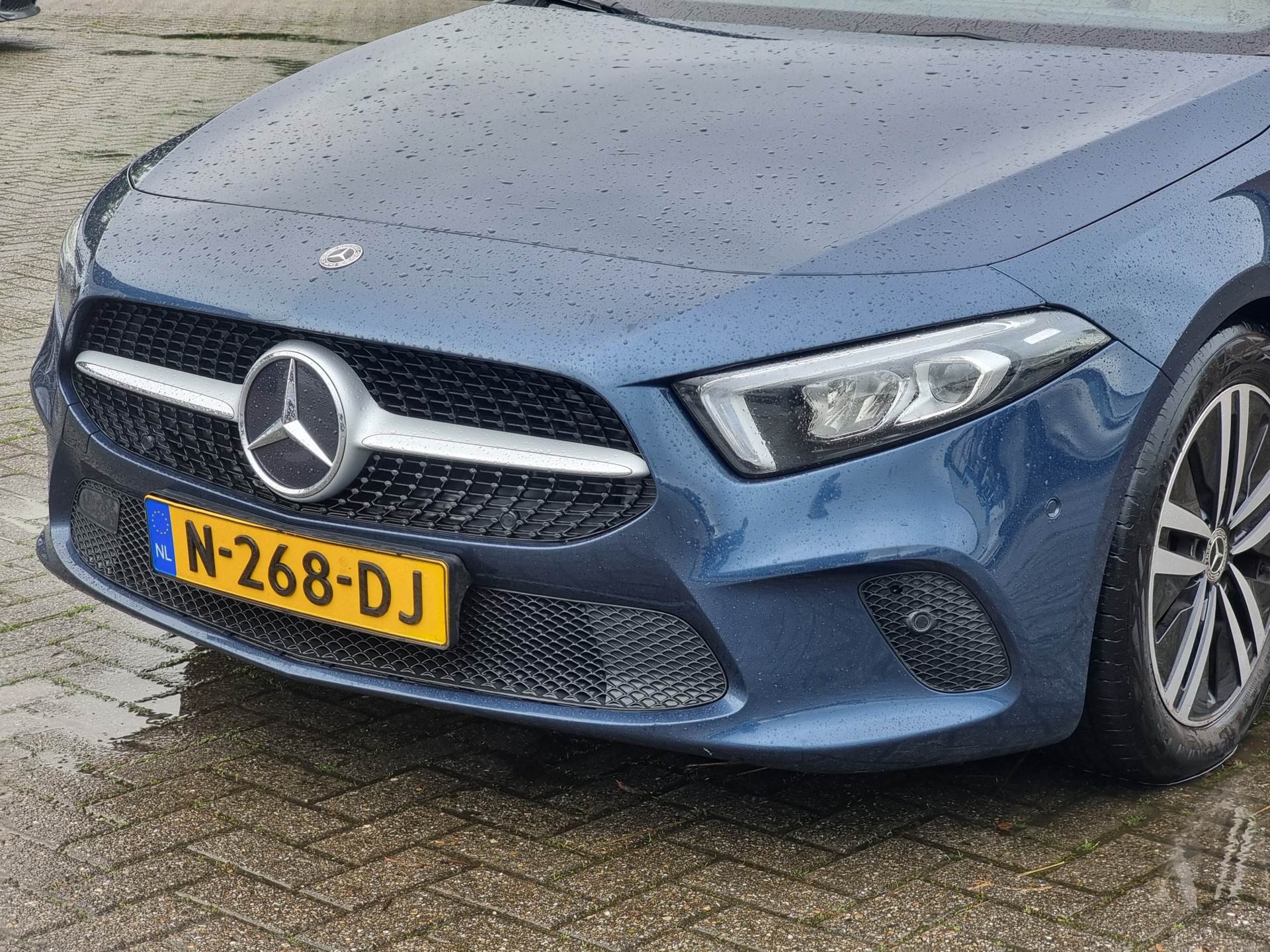 48678412-10.jpg